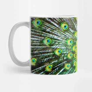 Photography - Peacock Mug